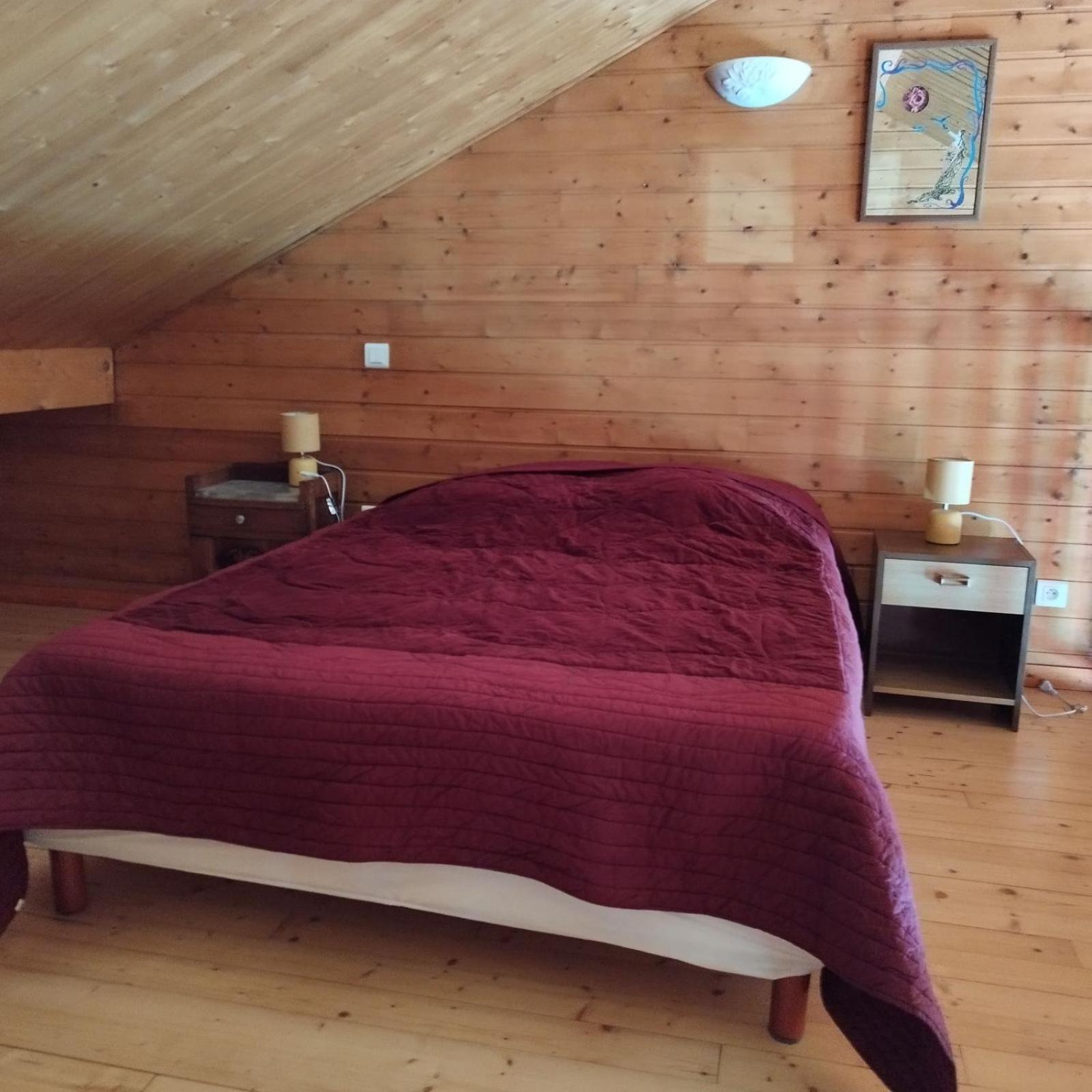 Chalet Les Adrets Du Sancy Saint-Diery Ngoại thất bức ảnh